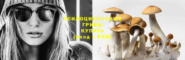 прущие крисы Баксан