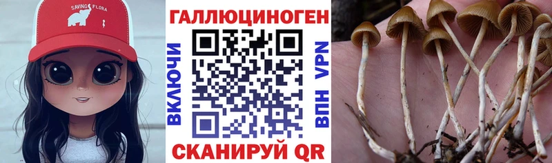 Галлюциногенные грибы GOLDEN TEACHER  это официальный сайт  Горнозаводск 